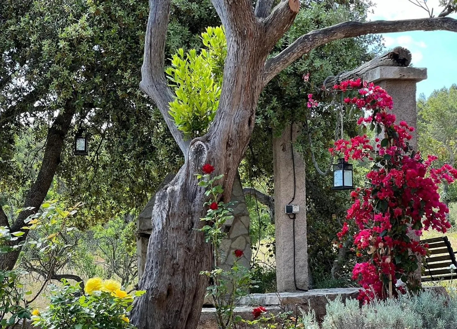 Finca Canfirella Portocolom Felanitx Holiday home