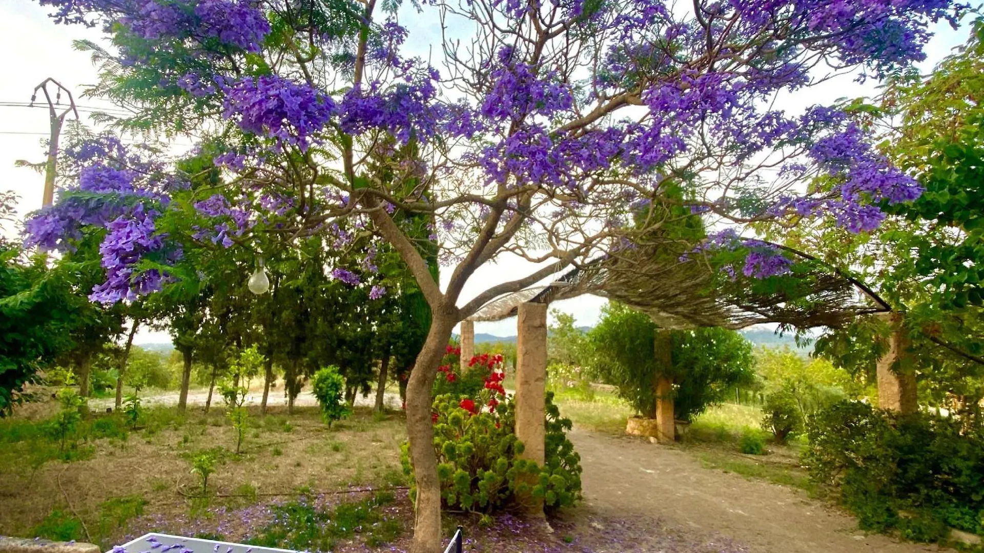 Finca Canfirella Portocolom Felanitx